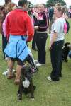 Swindon Race For Life 09 - Gallery 1