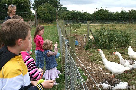 Butts Farm Picture Gallery