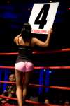 Boxing at the Oasis