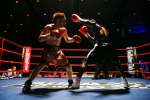 Boxing at the Oasis