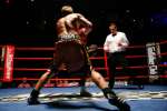 Boxing at the Oasis