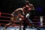 Boxing at the Oasis