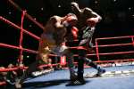 Boxing at the Oasis