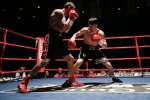 Boxing at the Oasis