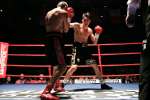 Boxing at the Oasis