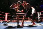 Boxing at the Oasis
