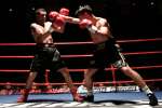 Boxing at the Oasis