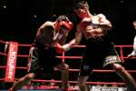 Boxing at the Oasis