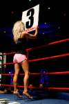 Boxing at the Oasis