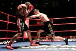 Boxing at the Oasis