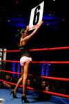 Boxing at the Oasis
