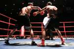 Boxing at the Oasis