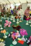 Wanborough Show 2009