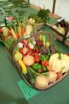 Wanborough Show 2009