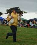 Wanborough Show 2009