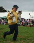 Wanborough Show 2009
