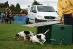 Wanborough Show 2009
