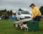 Wanborough Show 2009