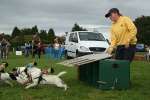 Wanborough Show 2009