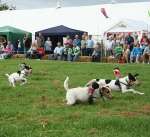Wanborough Show 2009