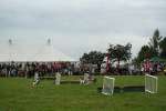 Wanborough Show 2009