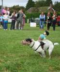 Wanborough Show 2009