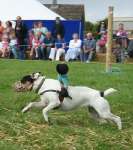 Wanborough Show 2009