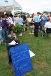 Wanborough Show 2009
