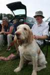 Wanborough Show 2009