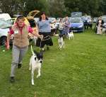 Wanborough Show 2009