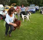 Wanborough Show 2009