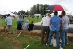Wanborough Show 2009