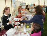 Wanborough Show 2009