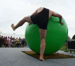 Wanborough Show 2009