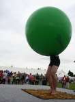Wanborough Show 2009