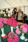 Wanborough Show 2009