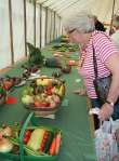 Wanborough Show 2009