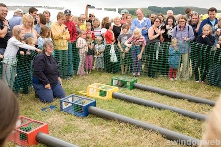 Uffington White Horse Show