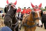 Uffington White Horse Show