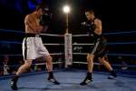Knock-out Success