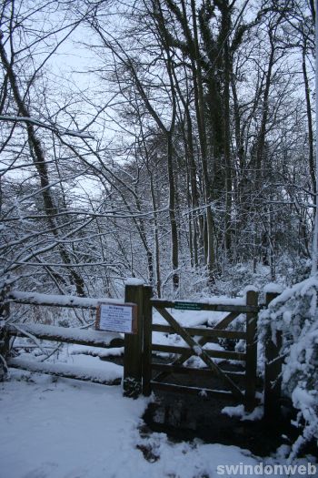 Stanton Park snow