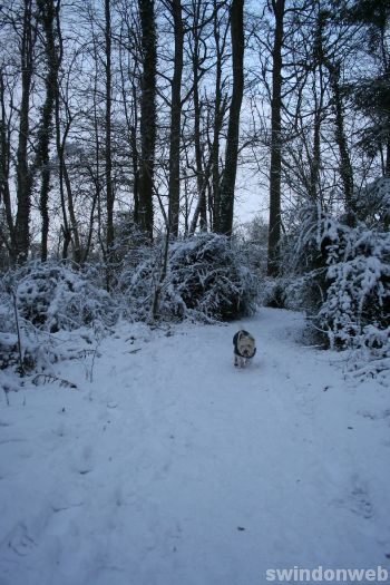 Stanton Park snow