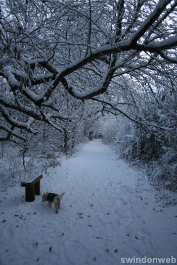 Stanton Park snow