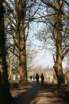 Mad March Hare Run, Lydiard Park - GALLERY 1