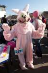 Mad March Hare Run, Lydiard Park - GALLERY 4