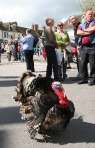 Highworth May Day Medieval Market