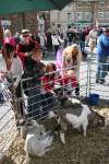 Highworth May Day Medieval Market