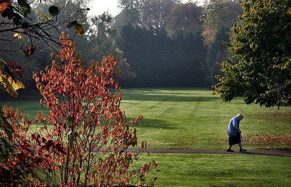 Queen's Park