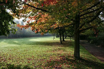 Queen's Park