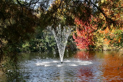 Queen's Park